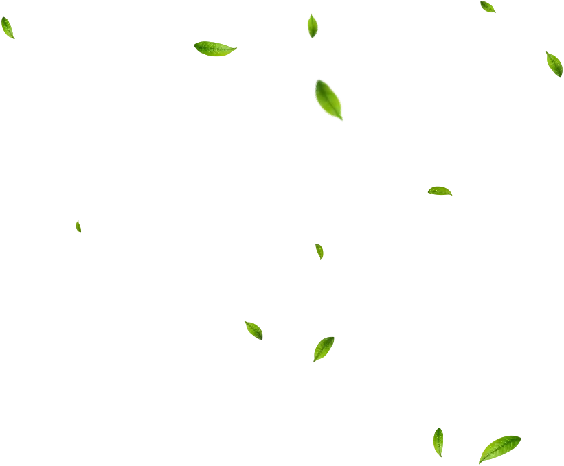 Fresh meat delivery by Goda Fresh